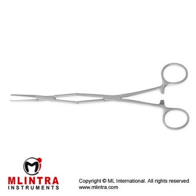 Tendon Tunnelling Forcep 1 x 2 Teeth Stainless Steel, 21 cm - 8 1/4"